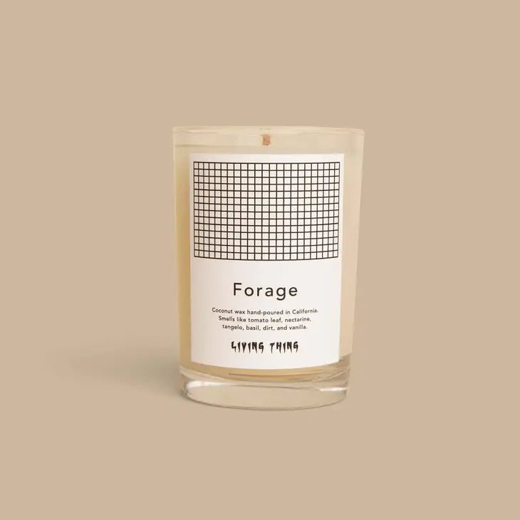 Living Thing - Forage CandleHome FragranceImogino