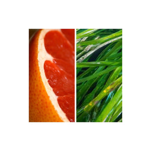 MODM - Hand & Body Wash Grapefruit + SeagrassBody CareImogino