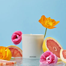 APOTHEKE - Sea Salt Grapefruit Classic CandleHome FragranceImogino