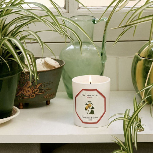 Carriere Freres - Melon Candle 185gmHome FragranceImogino