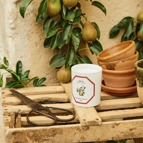 Carrière Frères - Pear Candle 185gmHome FragranceImogino