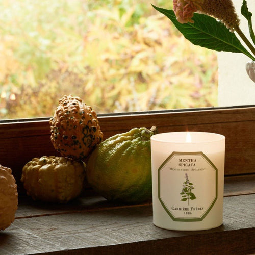 Carrière Frères - Spearmint Candle 185gmHome FragranceImogino