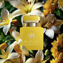 Carthusia - Perfume Intenso di Ginestra 50mlFragranceImogino