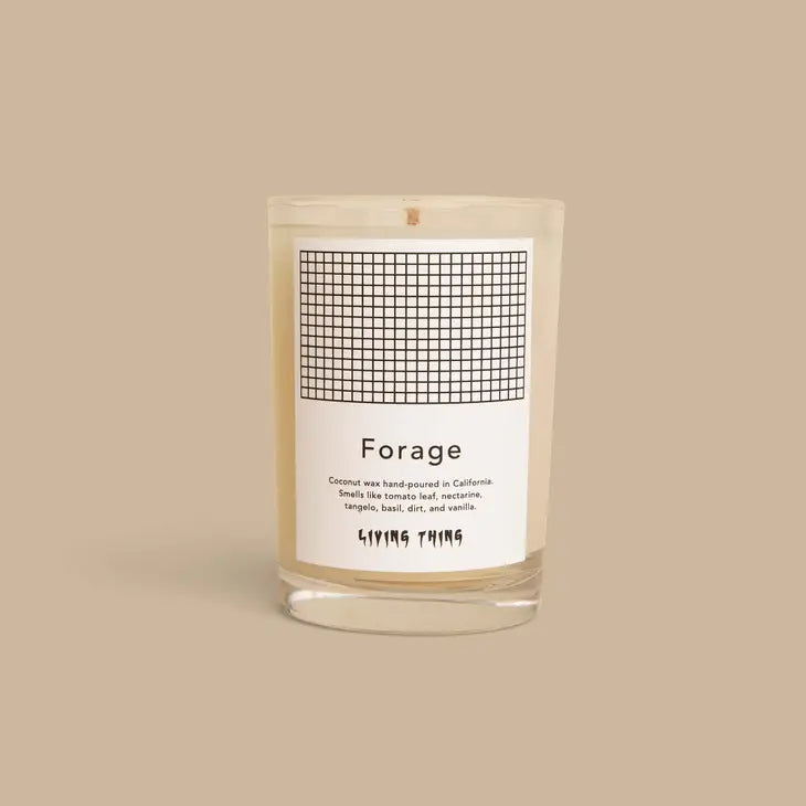 living-thing-forage-candle